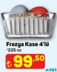 PAŞABAHÇE FREZYA KASE 4'LÜ 225 CC
